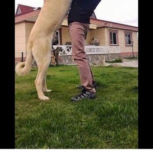 Meet your Posher, Adrian